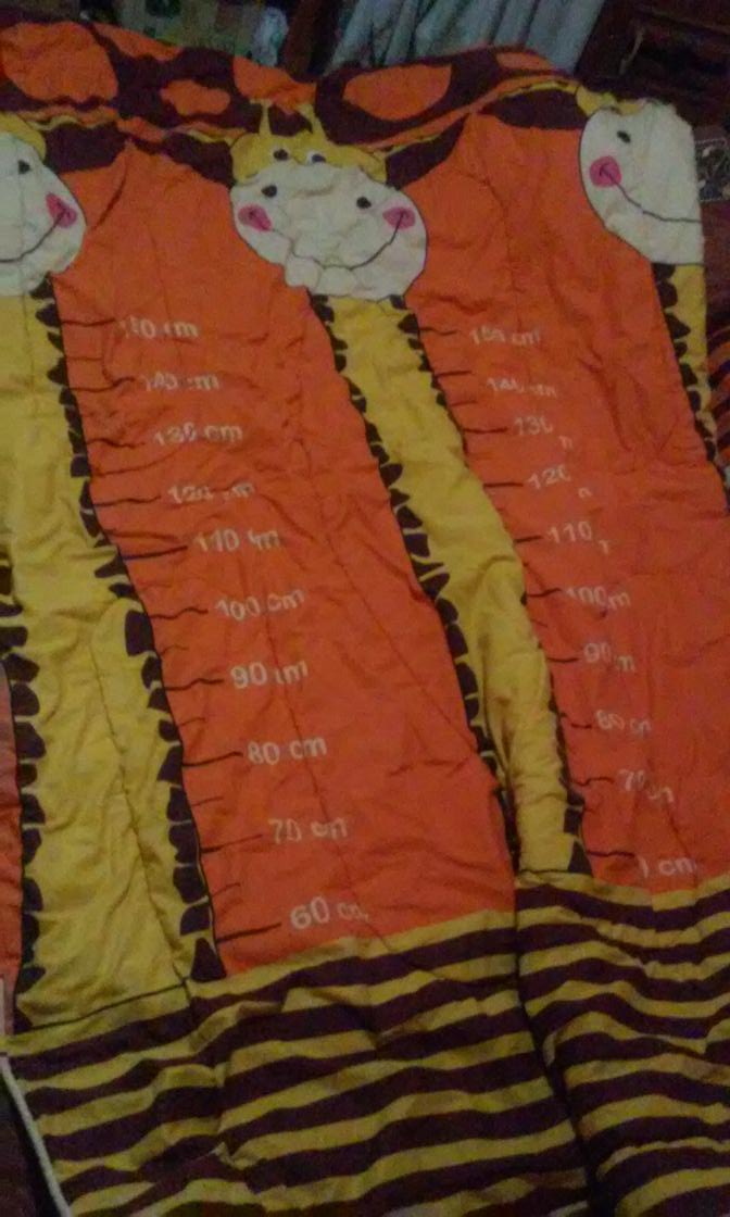 kikielina_'s tweet photo. @SM_TownNews #takeApict i want to give a giraffe blanket to @ryeong9.  :) http://t.co/vyfrgjvHuE