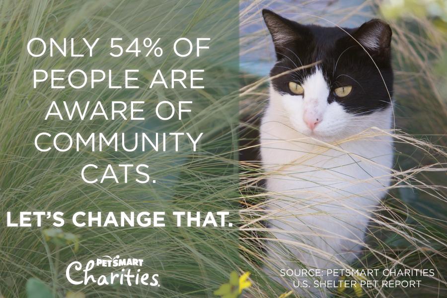 Petsmart Charities On Twitter Spread The Word About Our