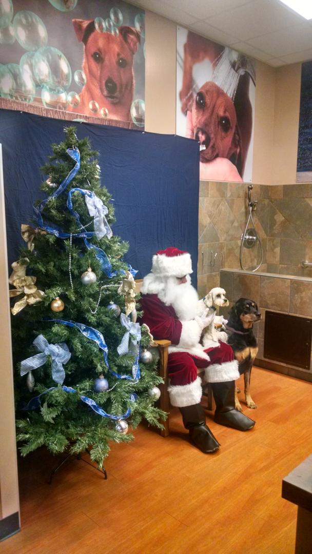 ferretsnorth's tweet photo. Hi #cityofPG! Get your pet's picture with Santa at Bosley's today! Proceeds to animal rescues :) #iheartPG http://t.co/a7iviqfuHj