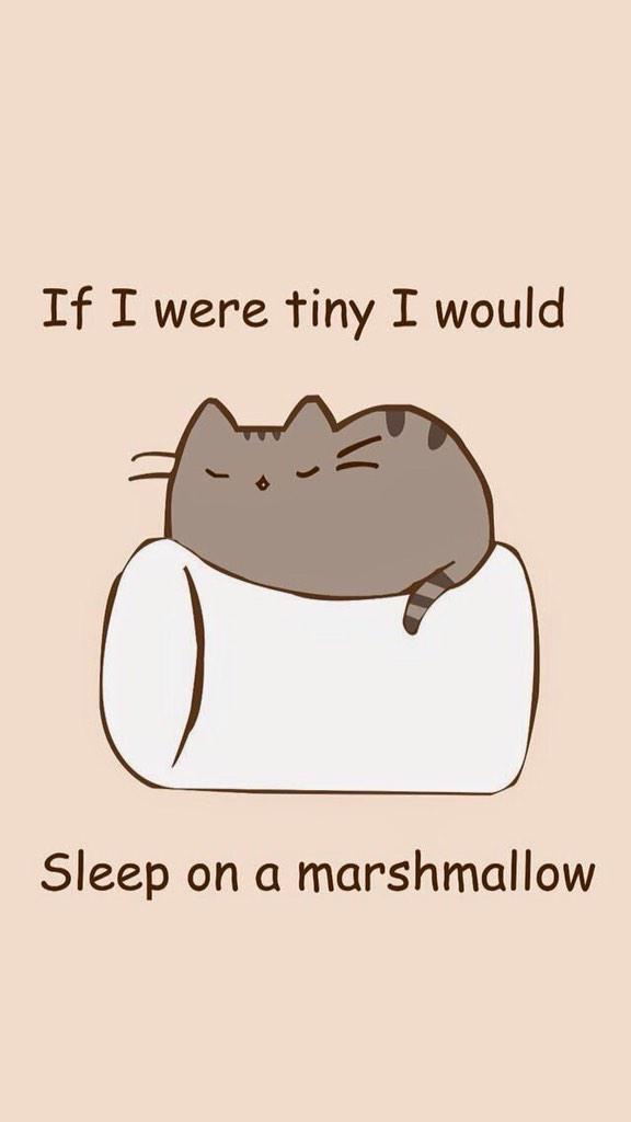 smith_oren's tweet photo. There is a cat sleeping on a marshmallow #justpeople http://t.co/J88FOeeZDm