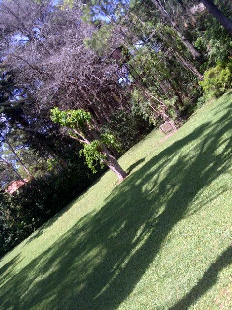 Arrancando el diaa, <a href="/cgnazzar94/">cami garcia</a>