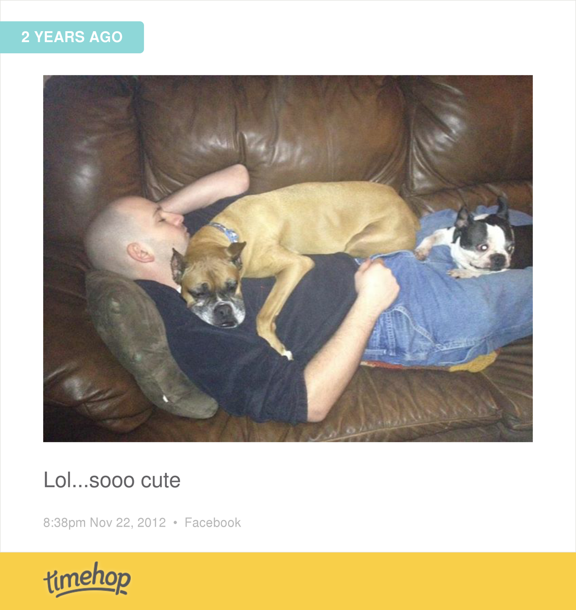 IrishGirl1279's tweet photo. I miss my boxer :( http://t.co/531FN2a6gT http://t.co/fuQ37MCX5e