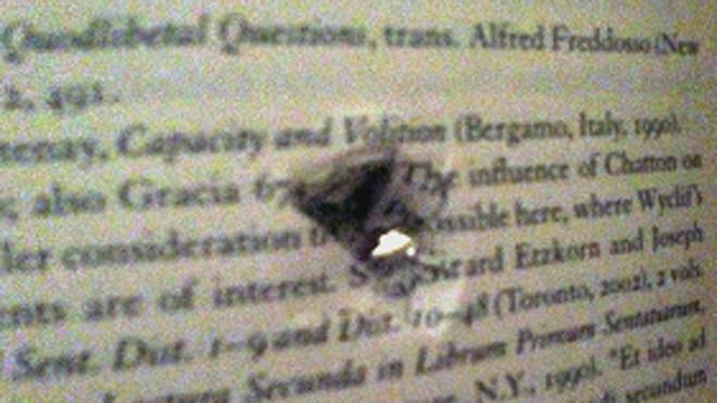 nicholasShell1 tweet picture