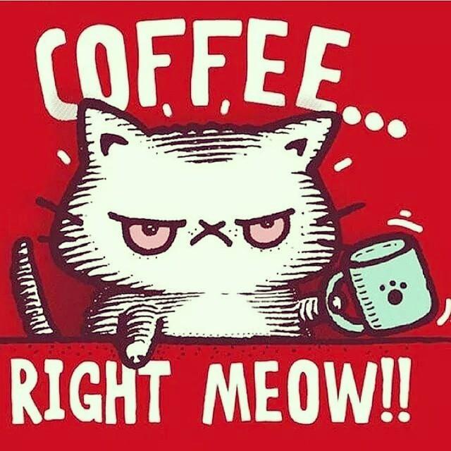 Coffee is the answer.. :3