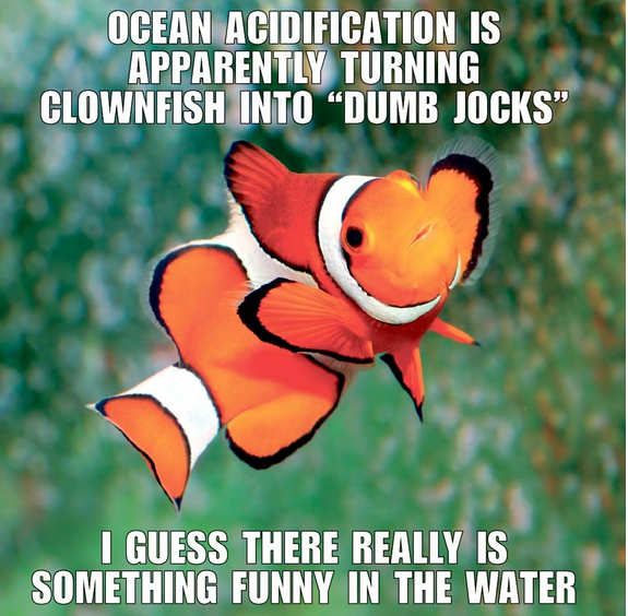 enviromedia's tweet photo. Ocean acidification tops list of important stories ignored by mainstream media. #oceanwire http://t.co/LTR6TcZRLk http://t.co/xt4cGMhKho