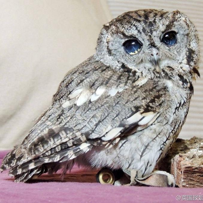 我还是想要对你好……