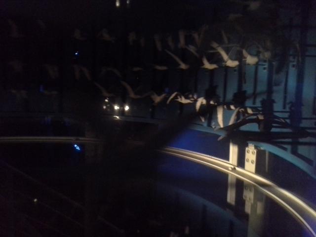 RFuentes_SA's tweet image. #expocerveau #zootrope geant. top.