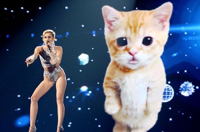 billboard's tweet photo. #AMAs Weekend throwback! Miley and her crying virtual kitten on stage at last year's show: http://t.co/qhXkniPa0e http://t.co/PvzO1Yfoeu