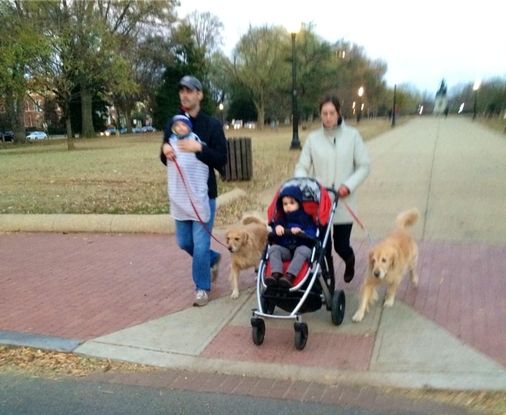 DogsofDC tweet media