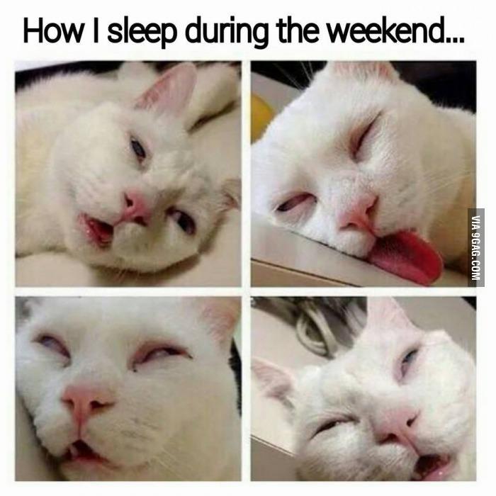 9GAG's tweet photo. This is how I sleep during the weekend...
http://t.co/vHY9nVddVC http://t.co/9tgmTV37Hk