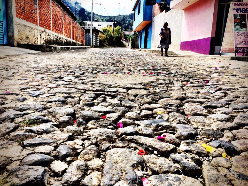 sparkydill's tweet photo. Chalchihuapan processional - trail of rose petals on way to paragliding launch http://t.co/FOTCG6slTA