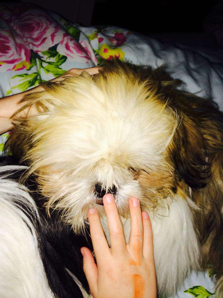 In bed with mummy and daddy x