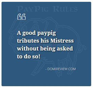 DomiReview's tweet photo. #PayPigRules #2 read more http://t.co/KG3nm7ZWDl - #FinancialDomination #Dominatrix #FinDomme #Paypig #Domme #BDSM http://t.co/3Q6QYwl2Vh