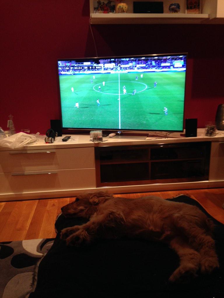 AsierM30's tweet photo. El tambien os anima muxo como podeis contemplar #RealMadrid , animando sin parar...🙈🙈🙈 http://t.co/T3PnS9twat