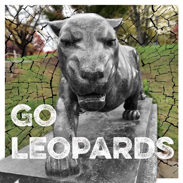 LafayetteWBB's tweet photo. #GoLeopards #BeatLehigh #150Rivalry @GoLeopards @LafColFootball http://t.co/hjukoqiK0F
