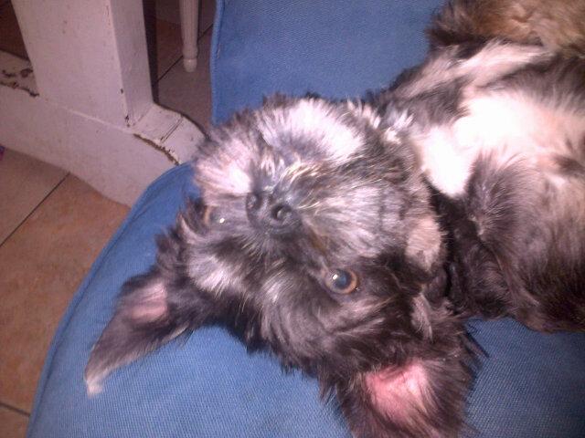 westifelove's tweet photo. #genacht beethoven :'( http://t.co/bVa0H9C3ag