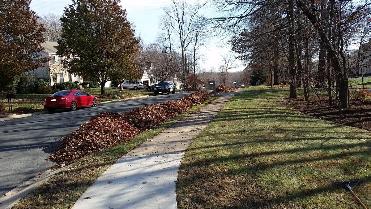 JeffBSecurity's tweet image. I love our trees in the summer, but this time of year, not so much #needadvil