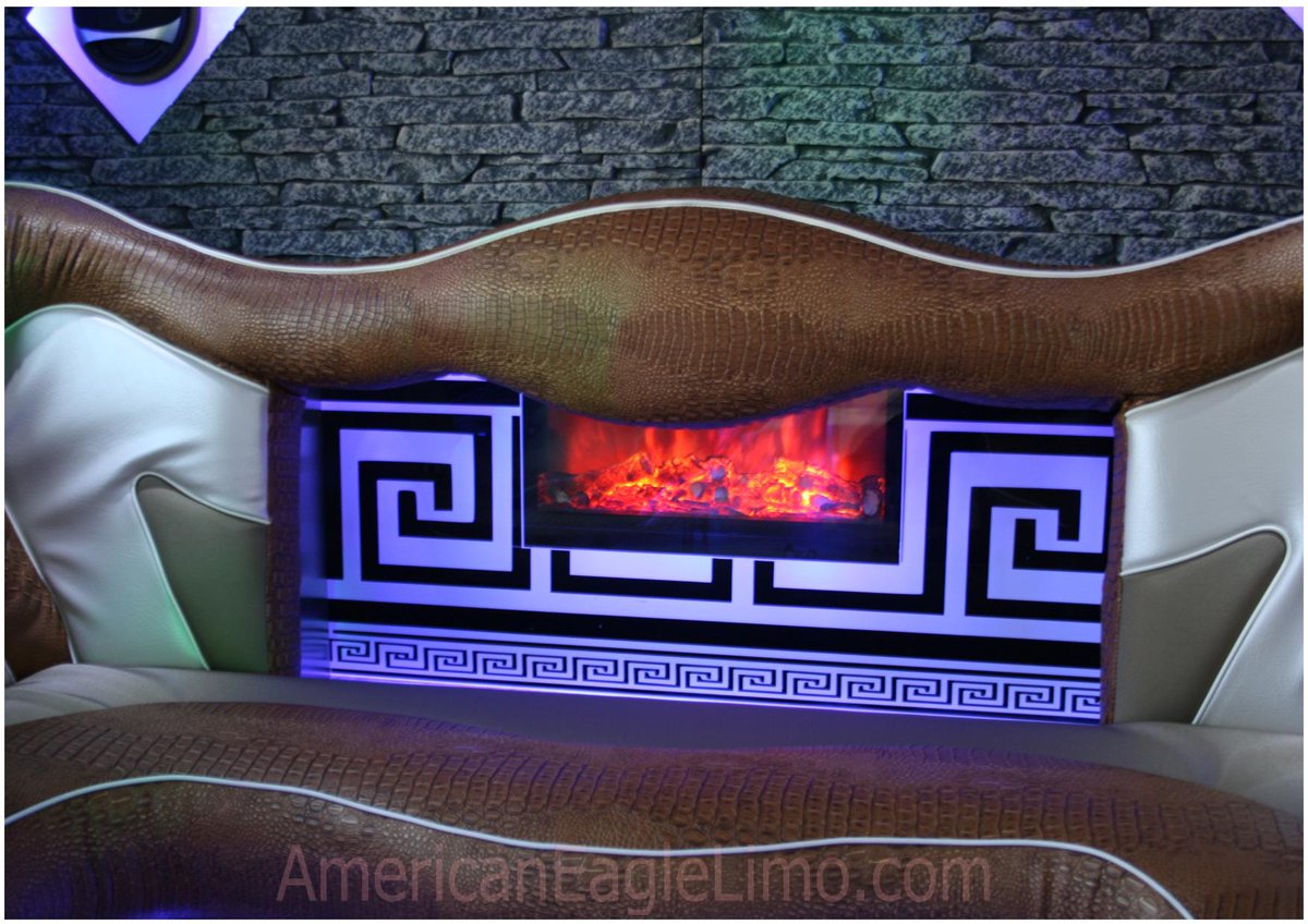 AmerEagleLimo's tweet image. 25-35 passenger party buses AT LOW DISCOUNTED RATES #dcpartybus #vapartybus #mdpartybus