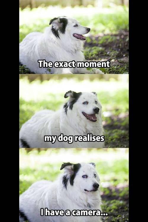 Ritachannn's tweet image. 😅😅