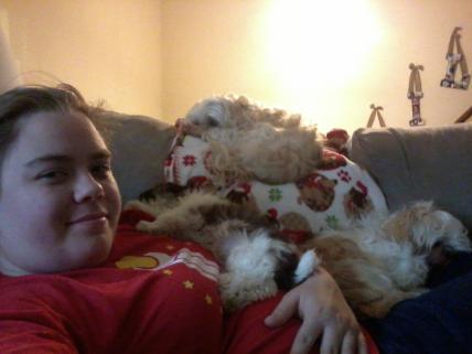 CalieLisey's tweet photo. Puppy dogs gallor! #LapFull #ThreePuppies http://t.co/R3z4Vf0Fop