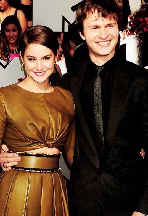 DivergenteBR tweet picture