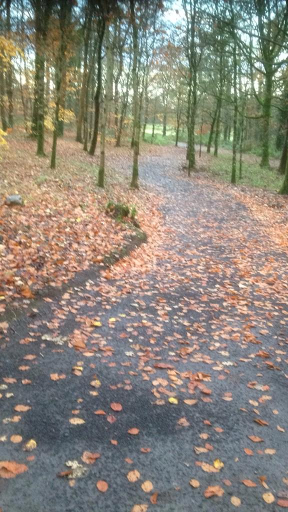 ekn_parkrun's tweet photo. Another great turnout for another beautiful parkrun 

http://t.co/52N5Y4XaYJ

#enniskillen #parkrun http://t.co/JgoFUFYWKa