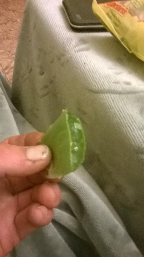 ovi_romano's tweet photo. #aloe vera💚 http://t.co/oGhfWNQuXn