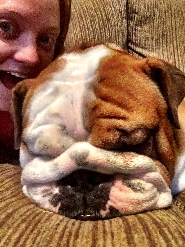 GingerBritt87's tweet photo. #photobomb #bruisergram http://t.co/vjpRZMAPYY