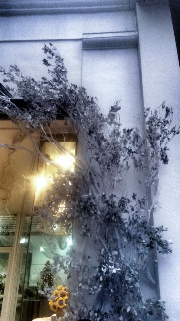 FlowersServices's tweet image. One day to go for the most stunning window in Miracle Mile. #xmat #christmas #window #contest #marketing #coralgables