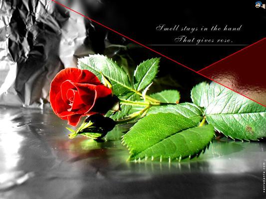 9d4fb15d0cd545b's tweet photo. Share image
Gu day... http://t.co/5RX3uVFjmM
