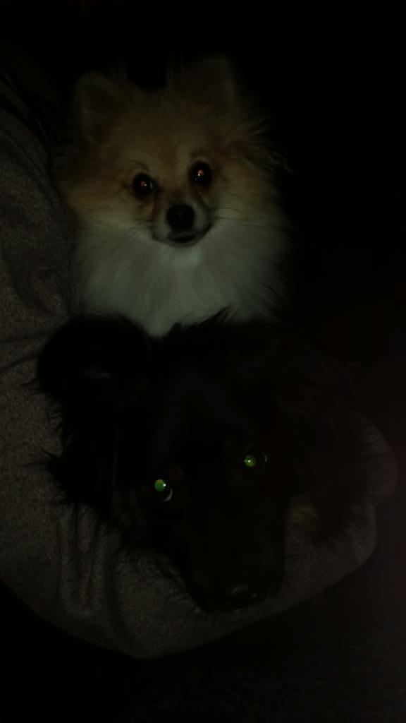 AlmostFamousTV's tweet photo. Car ride home #pomswag http://t.co/LLQSf2vlQv