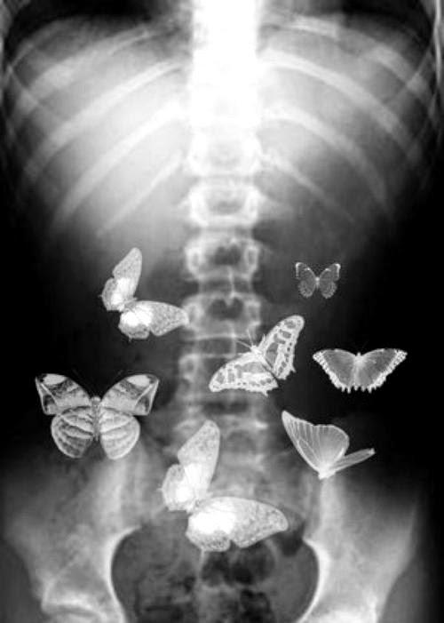 Kaseyfanmariah's tweet photo. Baby. ....after all this time,  you still give me butterflies.... http://t.co/w0DH15M4jS