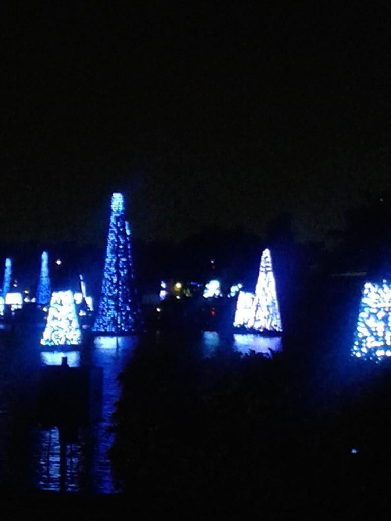 salinah202's tweet photo. Always amazed by @SeaWorld Sea Of Trees...Simply beautiful! #SeaWorldChristmas http://t.co/xJTh46MD8G
