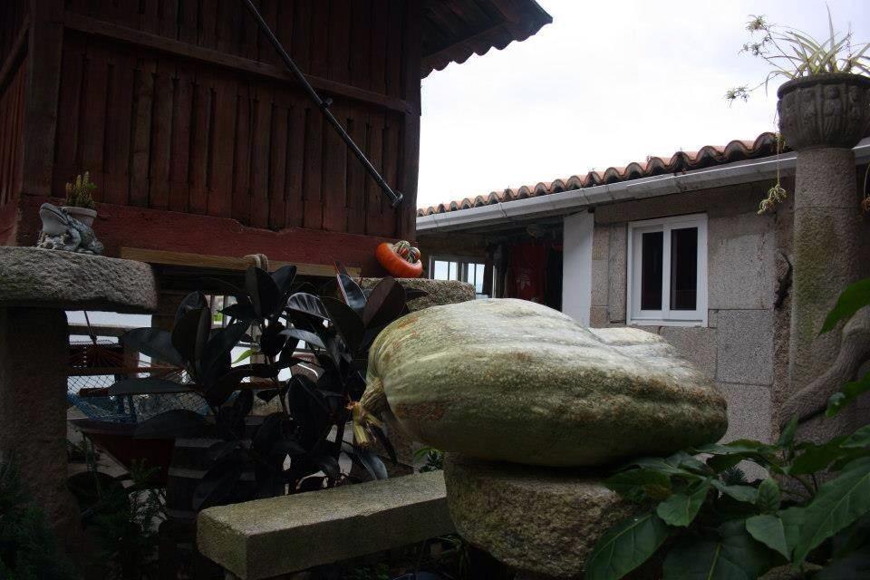 <a href="/Combarro/">Poio</a> era famoso polos #Hórreos, ahora supéranlle os Galpóns <a href="/turisriasbaixas/">Turismo Rías Baixas</a> <a href="/mipazos/">mipazos</a> <a href="/david_sanci/">David Ojea 🛰 (En 🦋 @2desanci.bsky.social)</a> <a href="/Amalitarp/">mundo al rev'es</a>