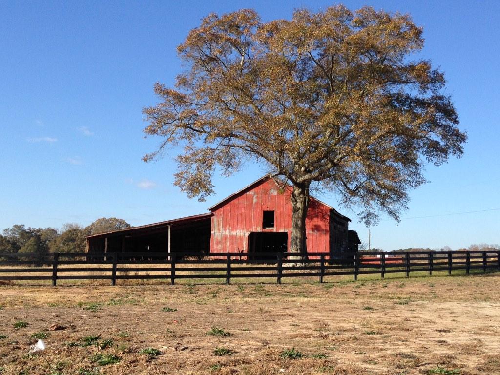 NadineAvola's tweet photo. @filmgeorgia The old barn at Pinewood Studios in Fayetteville, GA — so glad they left this up! #georgiafilm http://t.co/2jZF0hUIpw