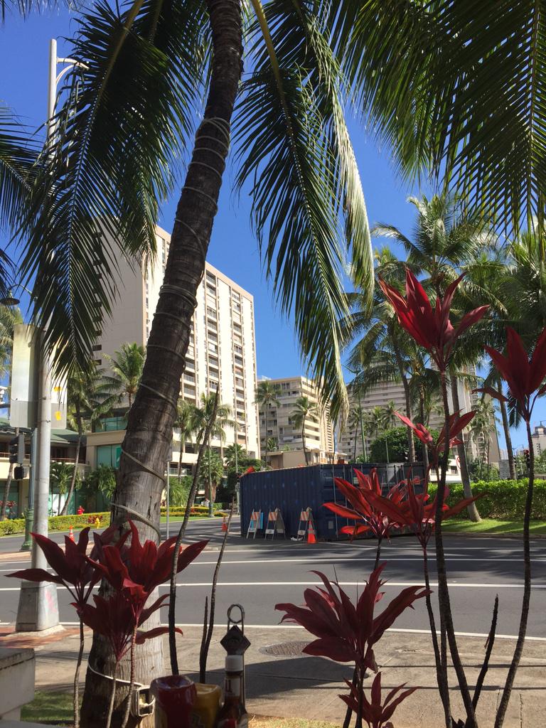 dyl_lake's tweet photo. Hawaii is much needed. #RelaxTherapy βοΈβ€οΈ http://t.co/OPmBoynsqX