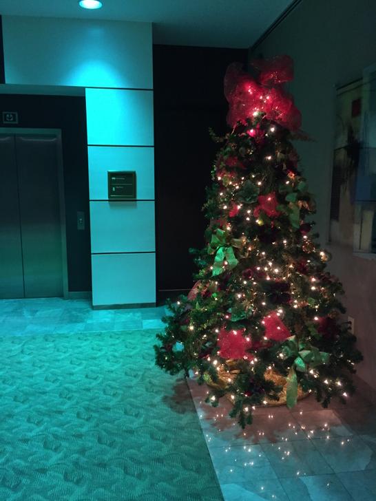 harpermaddox's tweet photo. Christmas starts early at @Edge_Theory #prethanksgiving #precustomer http://t.co/pTDDDvfzZZ