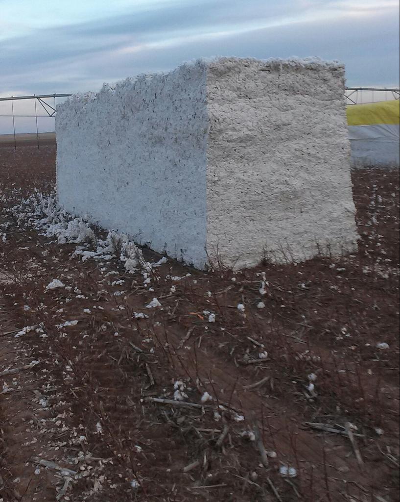 CBKimbrell's tweet photo. 2580 pair of bluejeans made from this cotton module retail for $103,200. Farmer recieves $4000 for it. Just sayin' http://t.co/oCnEua8W8x