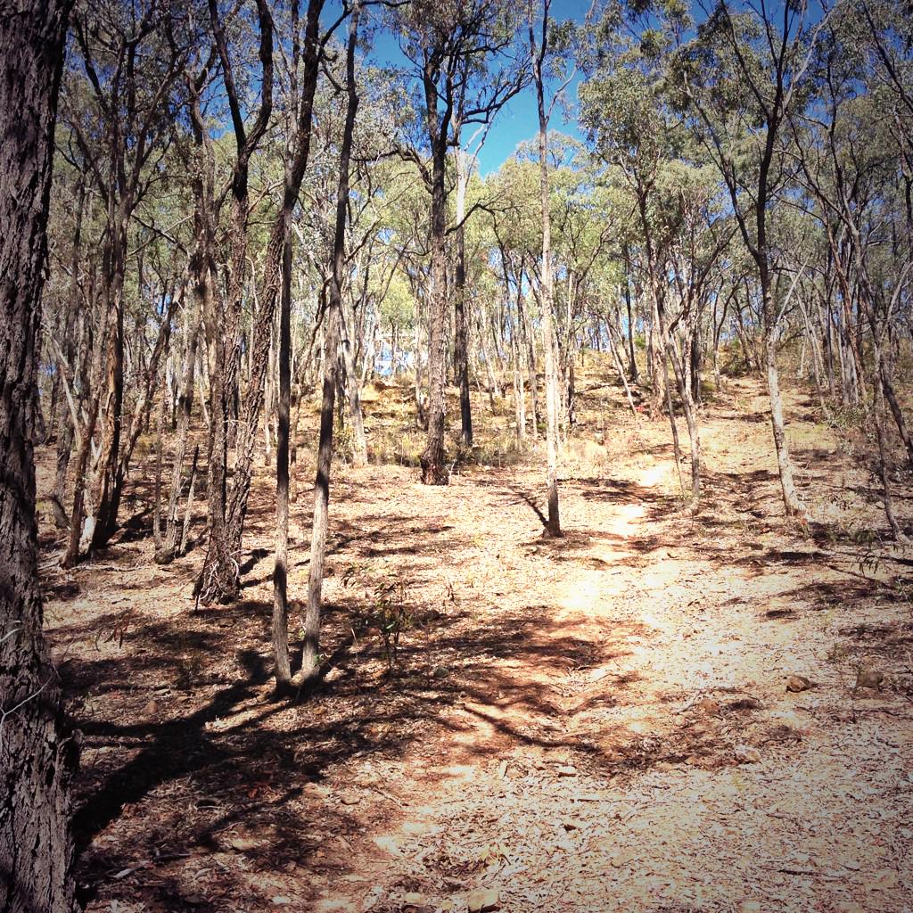 dazzalar11's tweet photo. In recog of TASR winners @Chris_HamoMTB & @PetaMullens at #hellfirecup decided to sneak around #OTH this morn... http://t.co/zrxQRMx6Vb