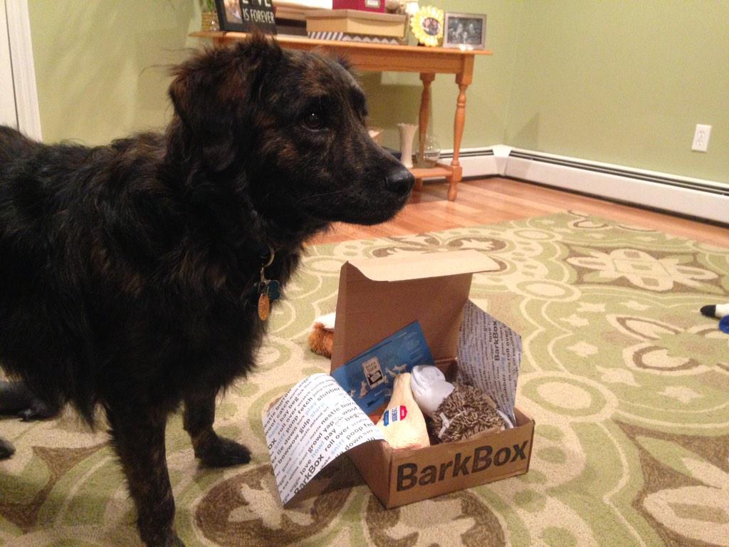 rMaier29's tweet photo. Apollo is loving his first ever @barkbox. Especially @GrandmaBowsers cheesy biscuits. http://t.co/g47LZT6b9Y