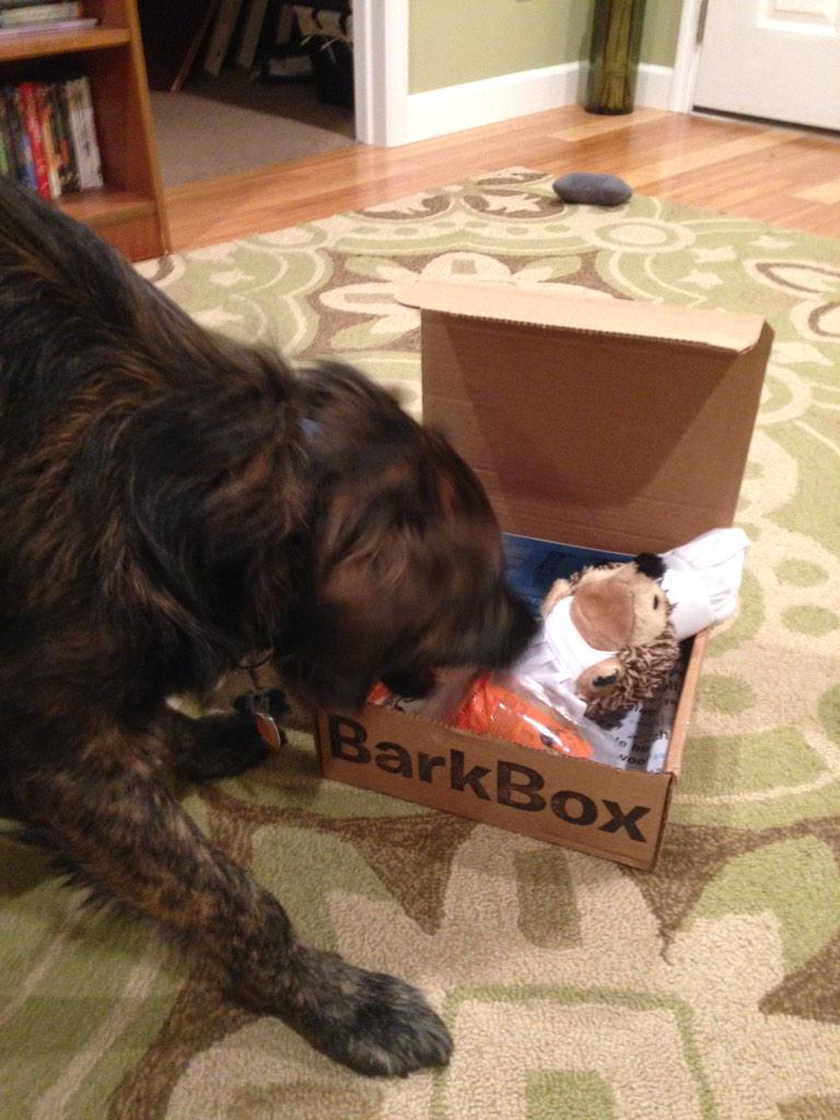 rMaier29's tweet photo. Apollo is loving his first ever @barkbox. Especially @GrandmaBowsers cheesy biscuits. http://t.co/g47LZT6b9Y
