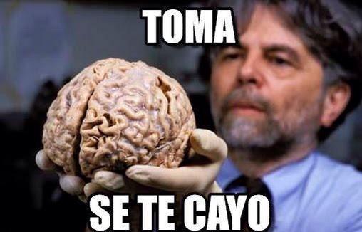 TuiteroSinVerso's tweet photo. —Mi amor, ¿Los gatos enserio tienen 7 vidas? 
— http://t.co/HPU8IMjiUN