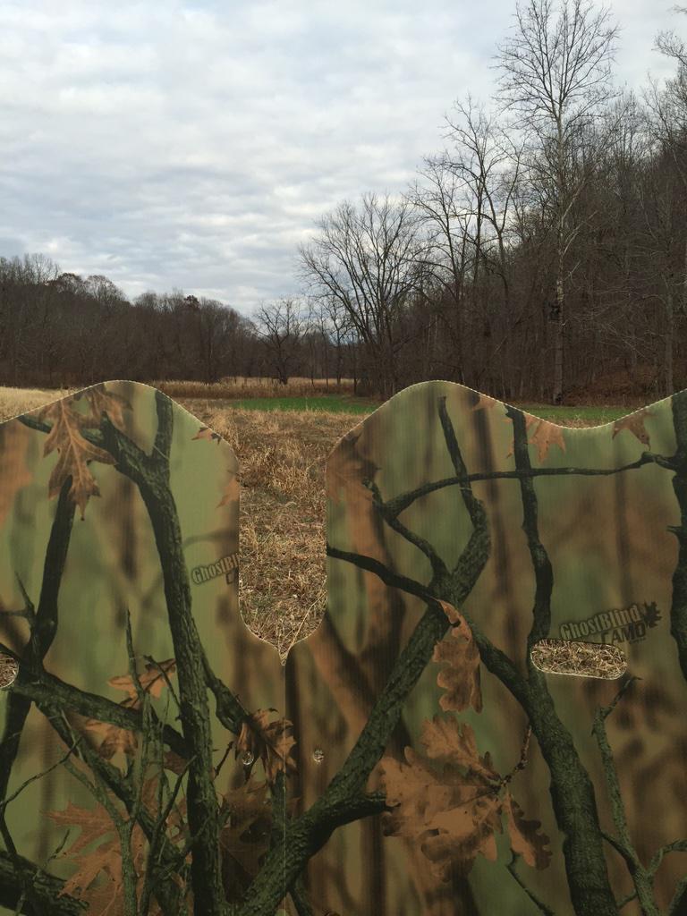 trifectaoutdoor's tweet photo. My view for the night! Had a camera behind the blind and a cameraman in the tree. No luck this time @GhostBlind http://t.co/CtUyZgVqGg