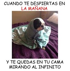 ArguetaVicktor's tweet photo. http://t.co/eVtjpUvDmM