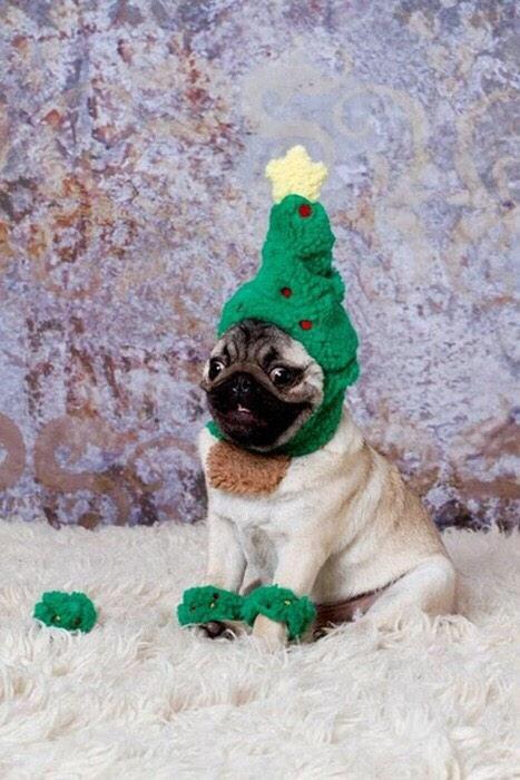 ITS THAT TIME OF THE YEAR
