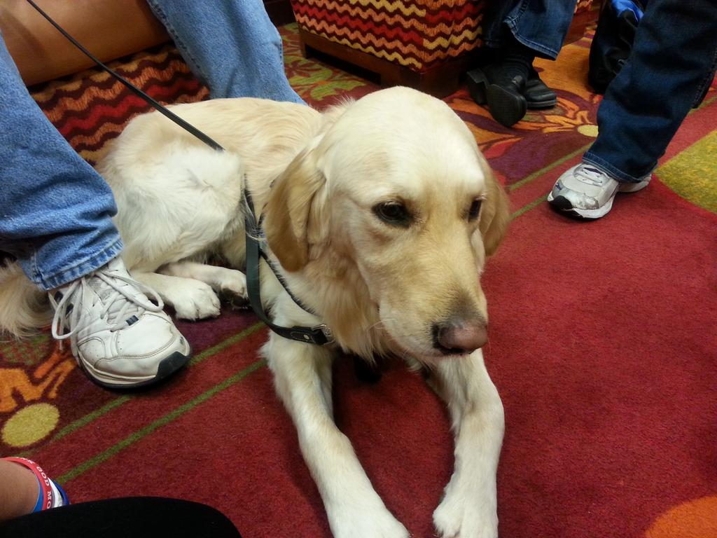 classicarkid's tweet image. #CollideNE 
Come on @un_sarah this is no killer!
#Lutheranchurchcharities
#Mosescomfortdog