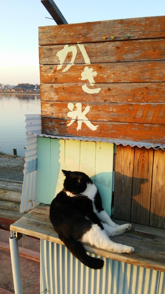 royon's tweet photo. かき氷だ！ http://t.co/uhmrOUfzbs