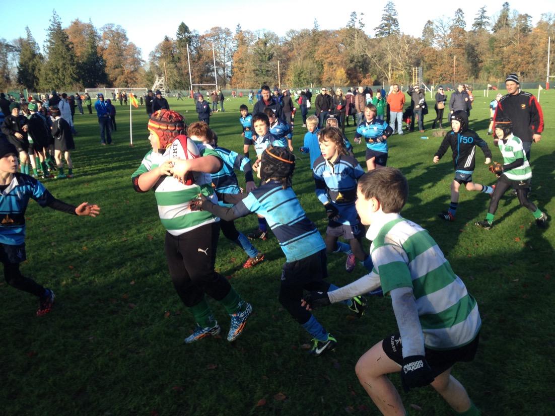 NaasRFCMinis tweet media