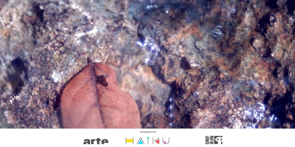 ARTEinteractive's tweet photo. Introducing first #InteractiveHaikus: Speech Success, Le Marcheur de Salon, Cat's Craddle, Yogacara #DocLab14 w/ @onf http://t.co/53c4qdCJsW