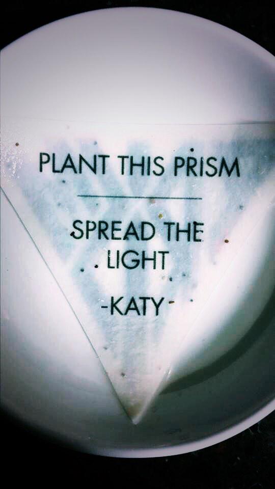 whitneywhy_'s tweet photo. @katyperry #prismaticvip http://t.co/YpuKFnDNao